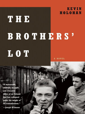 cover image of The Brothers' Lot